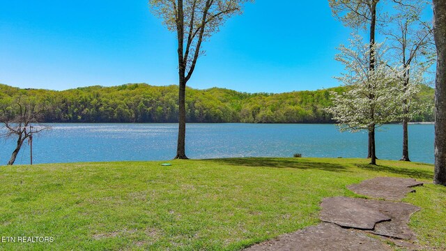 175 Kingfisher Rd, Rockwood, TN 37854 - photo 13