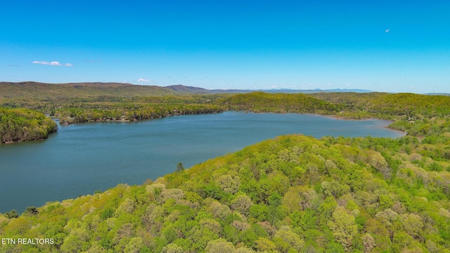 175 Kingfisher Rd, Rockwood, TN 37854 - photo 14