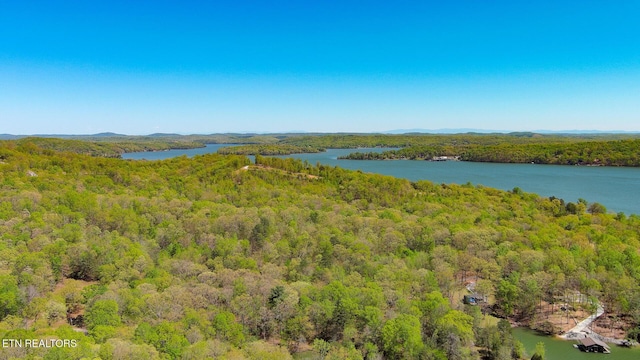 175 Kingfisher Rd, Rockwood, TN 37854 - photo 34