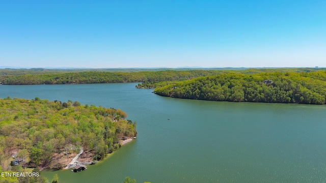 175 Kingfisher Rd, Rockwood, TN 37854 - photo 5