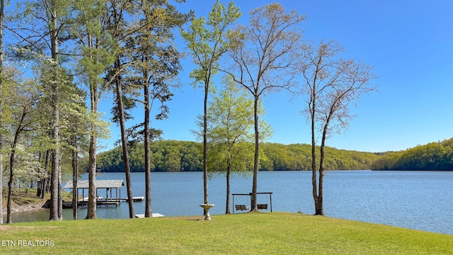 175 Kingfisher Rd, Rockwood, TN 37854 - photo 4