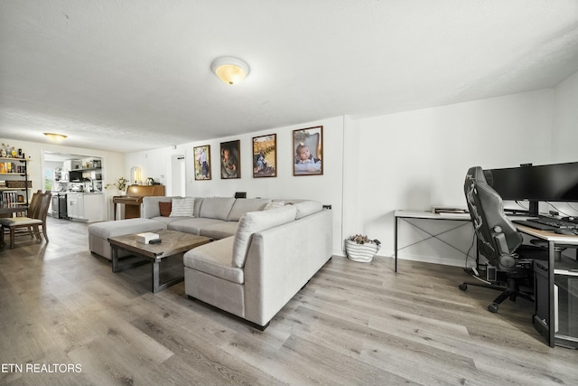 living room with baseboards and light wood-style floors