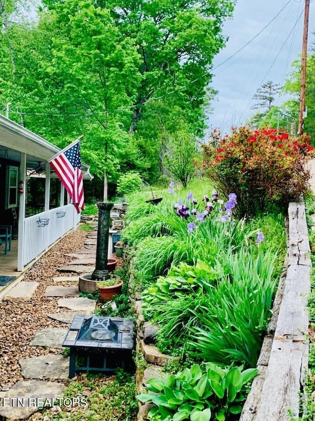 694 Lake Ln, New Tazewell, TN 37825 - view of yard with a sunroom