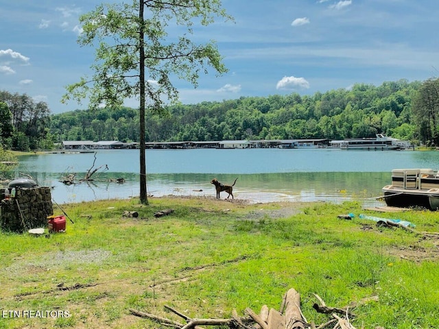 694 Lake Ln, New Tazewell, TN 37825 - view of water feature featuring a wooded view