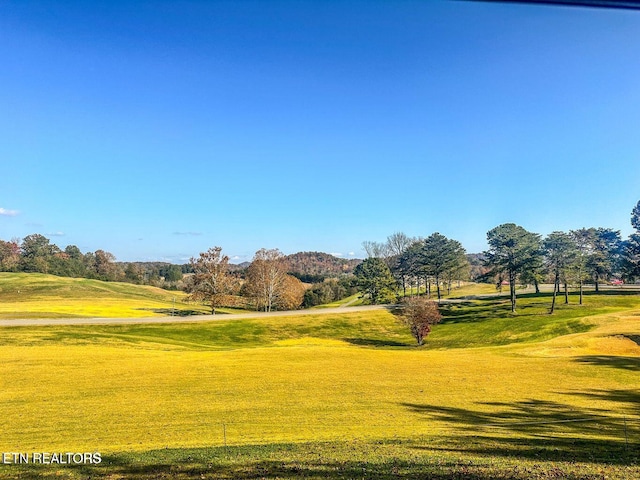 Wedge Way, Tazewell, TN 37879 - photo 1