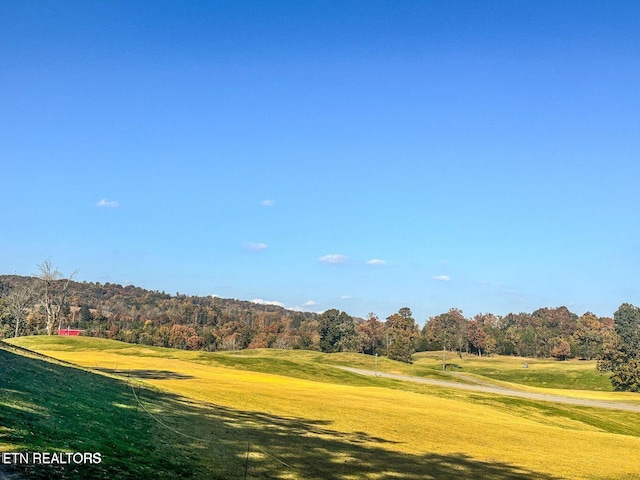 Wedge Way, Tazewell, TN 37879 - photo 2