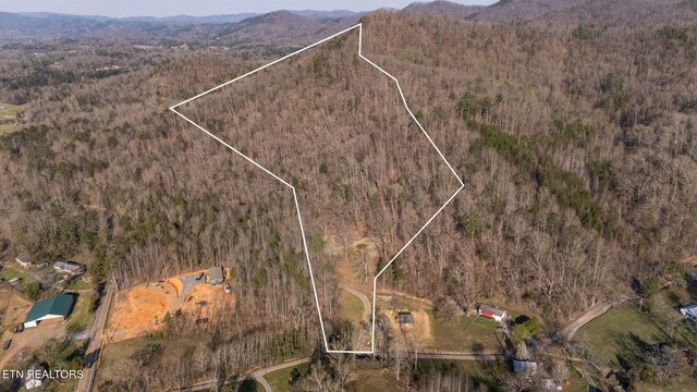 828 Hembree Hollow Rd, Townsend, TN 37882