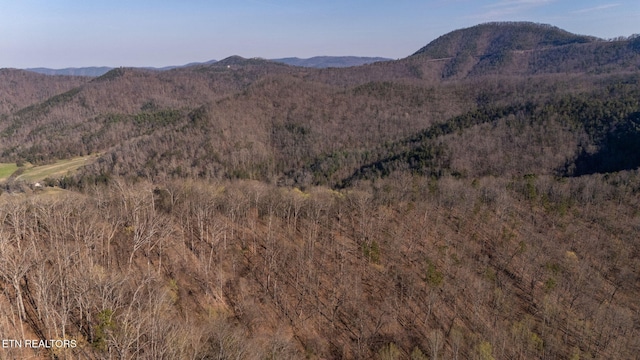 828 Hembree Hollow Rd, Townsend, TN 37882