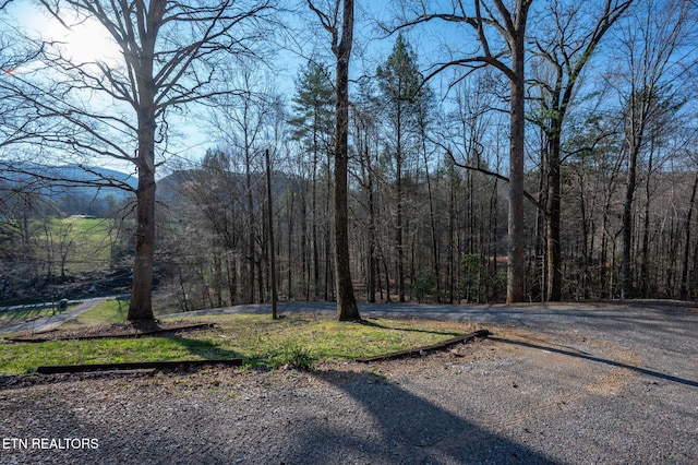 828 Hembree Hollow Rd, Townsend, TN 37882