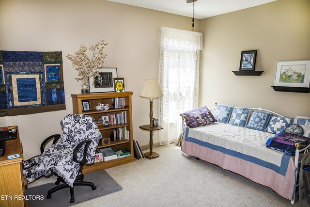 259 Pomeroy Dr, Crossville, TN 38558 - photo 45