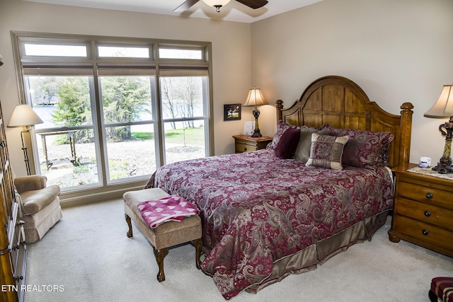 259 Pomeroy Dr, Crossville, TN 38558 - photo 35