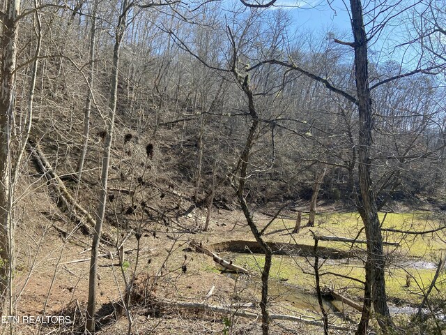 17 Mountain Shores Rd, New Tazewell, TN 37825