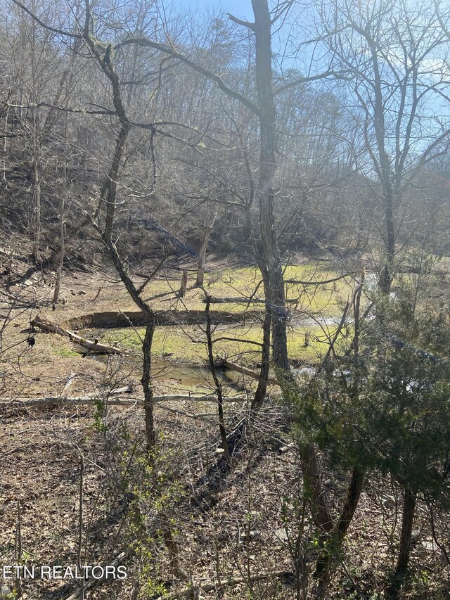 17 Mountain Shores Rd, New Tazewell, TN 37825