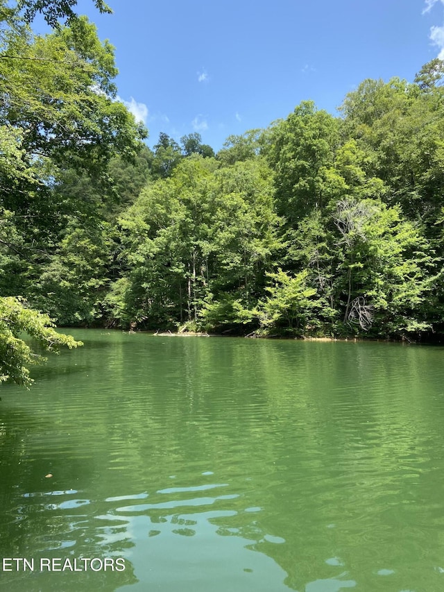 17 Mountain Shores Rd, New Tazewell, TN 37825