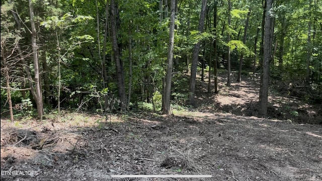 215 Redwood Dr, Dandridge, TN 37725 - photo 3