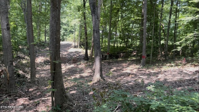 215 Redwood Dr, Dandridge, TN 37725 - photo 1
