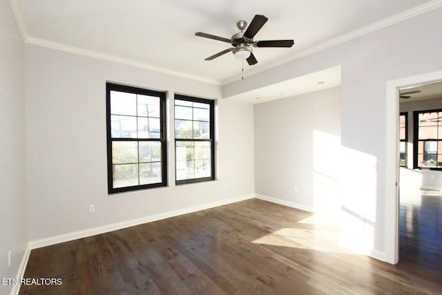 115 Willow Ave Unit 200, Knoxville, TN 37915 - photo 10