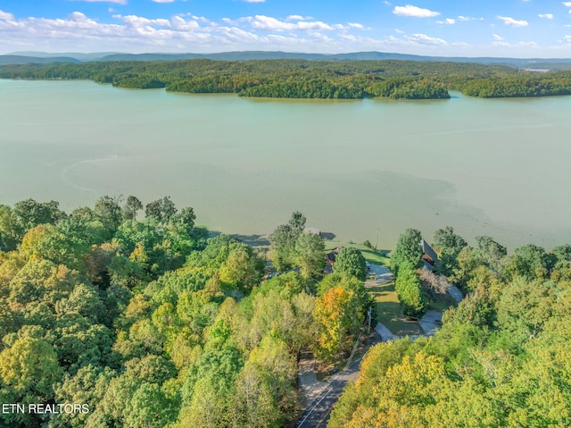 drone / aerial view featuring a view of trees and a water view