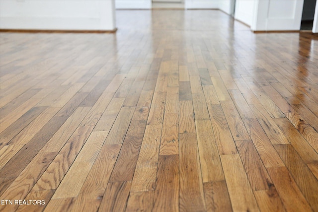 details featuring wood finished floors