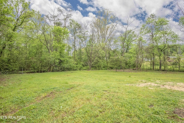 view of yard featuring a forest view