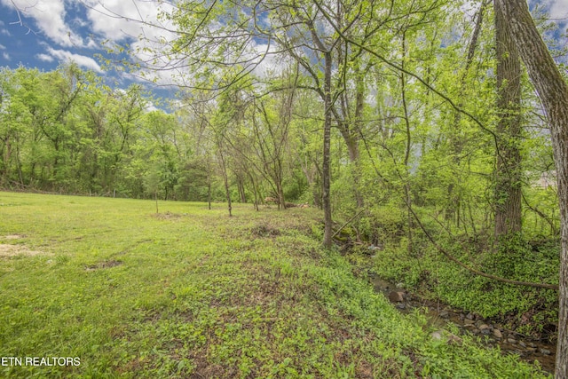 view of local wilderness with a forest view