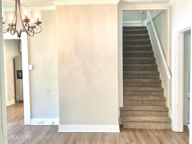 2312 Woodrow Dr, Knoxville, TN 37918 - photo 14