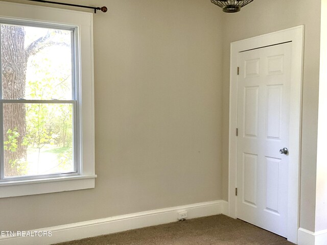 2312 Woodrow Dr, Knoxville, TN 37918 - photo 23