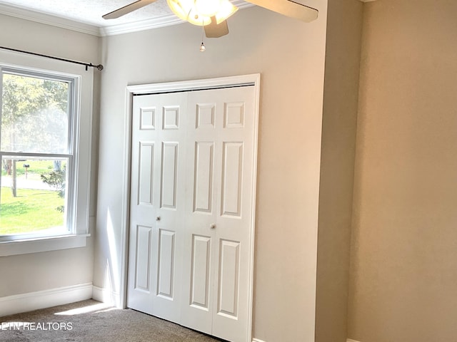 2312 Woodrow Dr, Knoxville, TN 37918 - photo 25