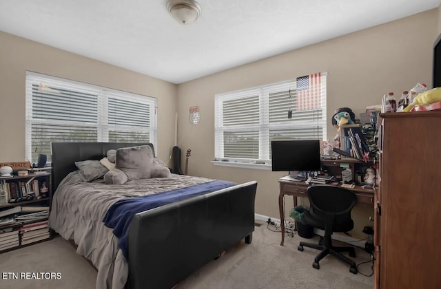 544 Mill Creek Rd, Andersonville, TN 37705 - bedroom featuring baseboards and light carpet
