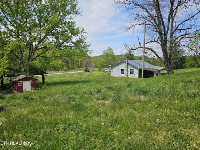 view of yard with an outdoor structure and a shed