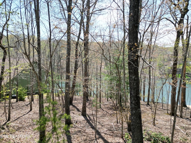 134 Chatham Ln, Crossville, TN 38558