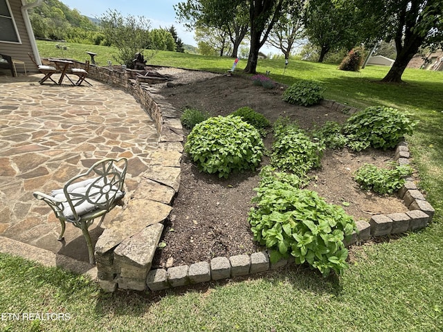 2525 Virgil Rushing Way, Knoxville, TN 37914 - view of yard with a patio