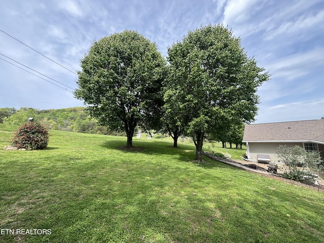 2525 Virgil Rushing Way, Knoxville, TN 37914 - view of yard