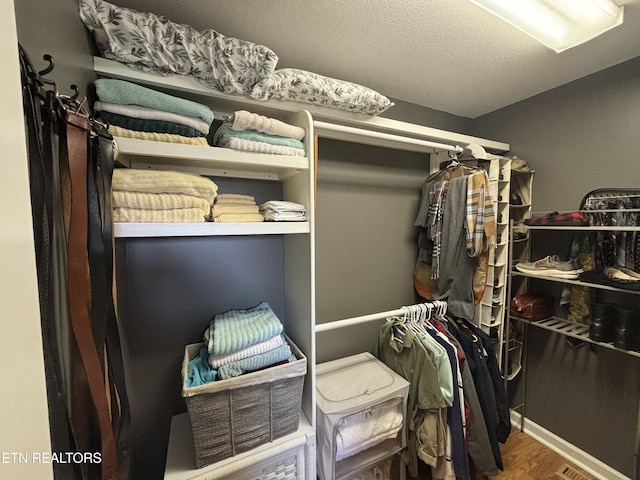 2525 Virgil Rushing Way, Knoxville, TN 37914 - spacious closet featuring wood finished floors