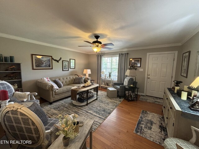 2525 Virgil Rushing Way, Knoxville, TN 37914 - living room featuring wood finished floors, crown molding, and ceiling fan
