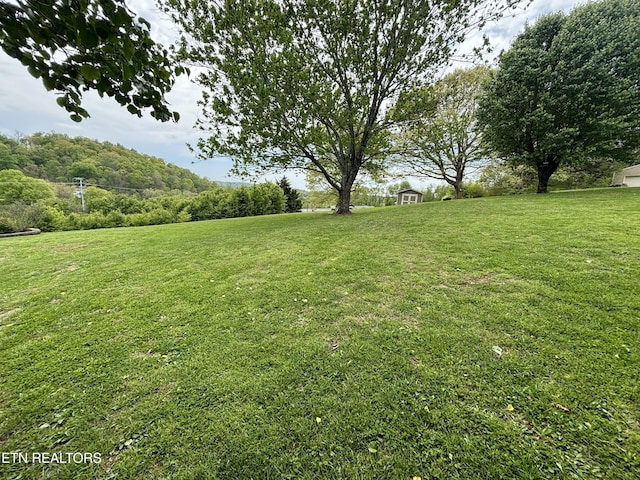 2525 Virgil Rushing Way, Knoxville, TN 37914 - view of yard featuring an outdoor structure