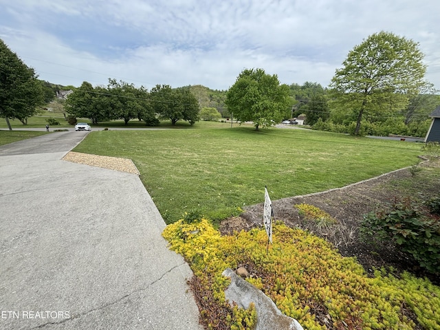2525 Virgil Rushing Way, Knoxville, TN 37914 - view of yard