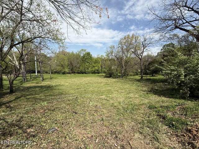 2211 Maple Dr, Knoxville, TN 37918 - photo 6