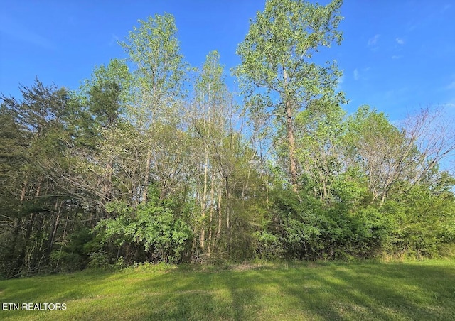 LOT30 Indigo Bunting Dr, Harriman, TN 37748