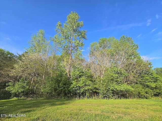 LOT30 Indigo Bunting Dr, Harriman, TN 37748