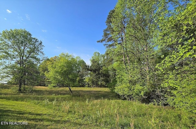 LOT33 Indigo Bunting Dr, Harriman, TN 37748 - photo 3