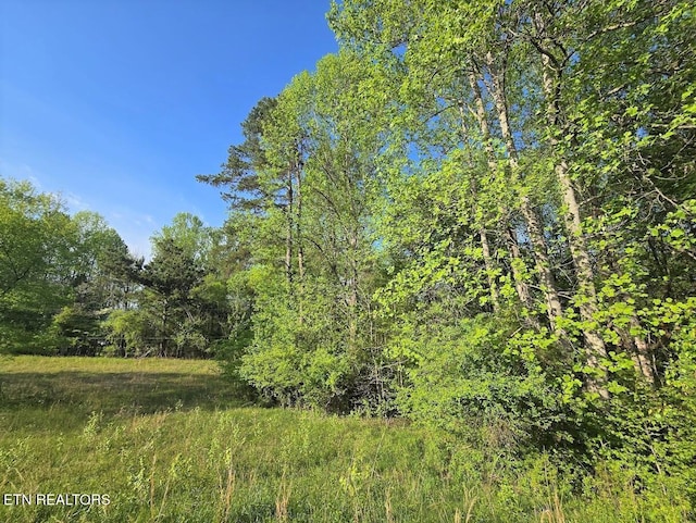 LOT33 Indigo Bunting Dr, Harriman, TN 37748 - photo 4