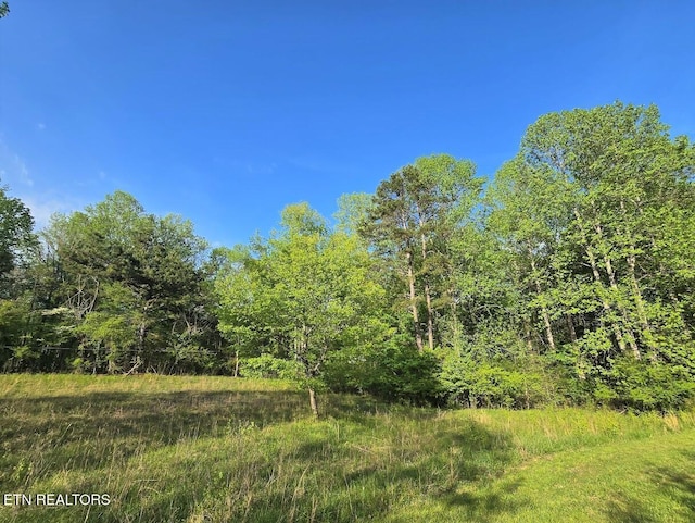 LOT33 Indigo Bunting Dr, Harriman, TN 37748 - photo 5