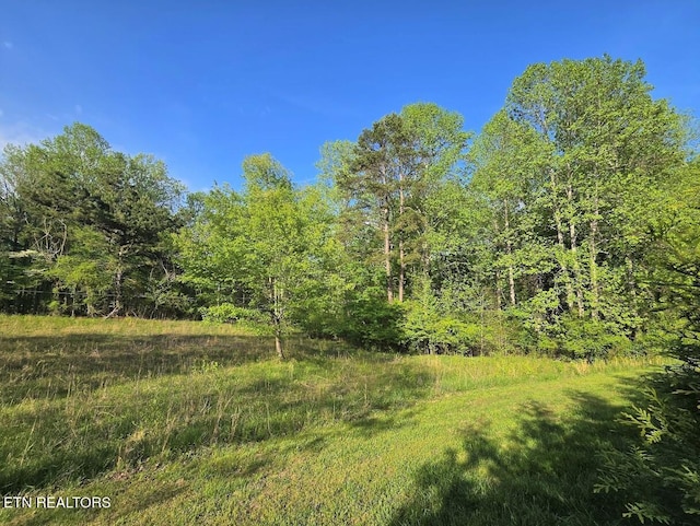 LOT33 Indigo Bunting Dr, Harriman, TN 37748 - photo 6