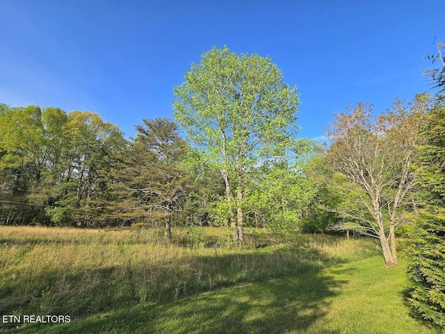 LOT33 Indigo Bunting Dr, Harriman, TN 37748 - photo 1
