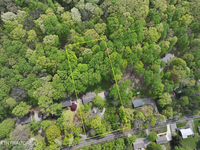 bird's eye view with a wooded view