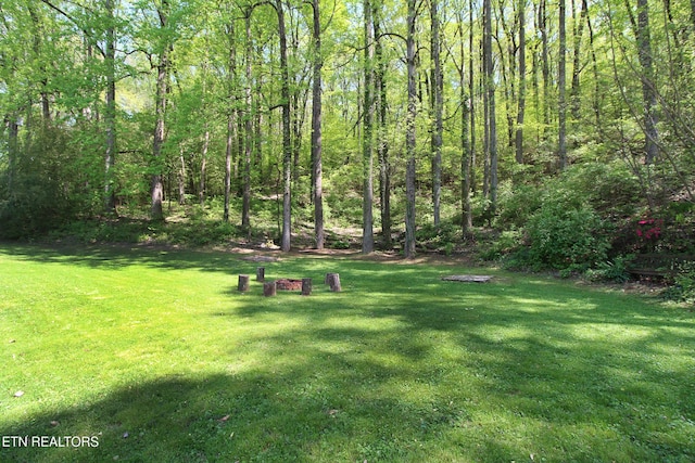 view of yard