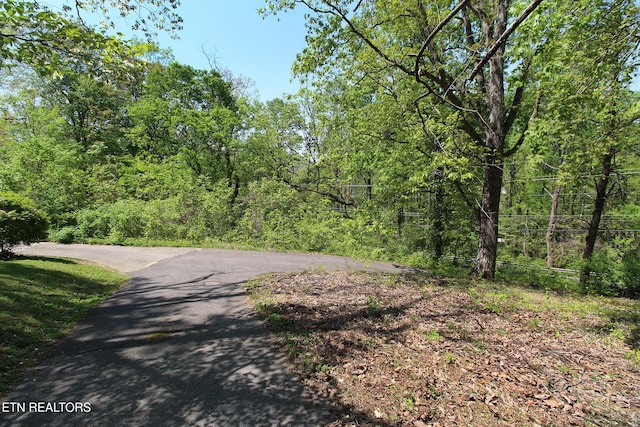 view of street featuring a wooded view
