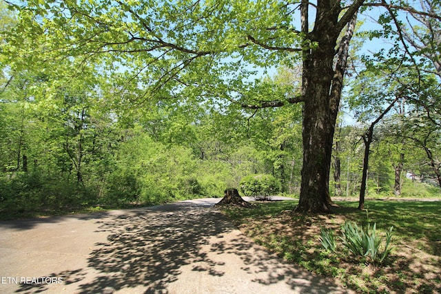 view of road featuring a wooded view