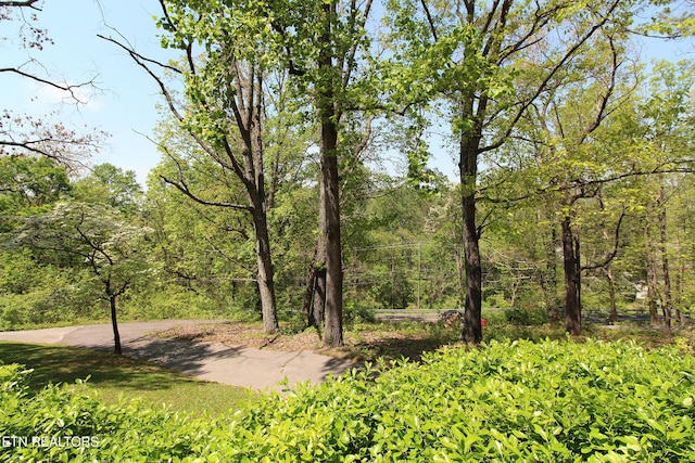 exterior space with a wooded view